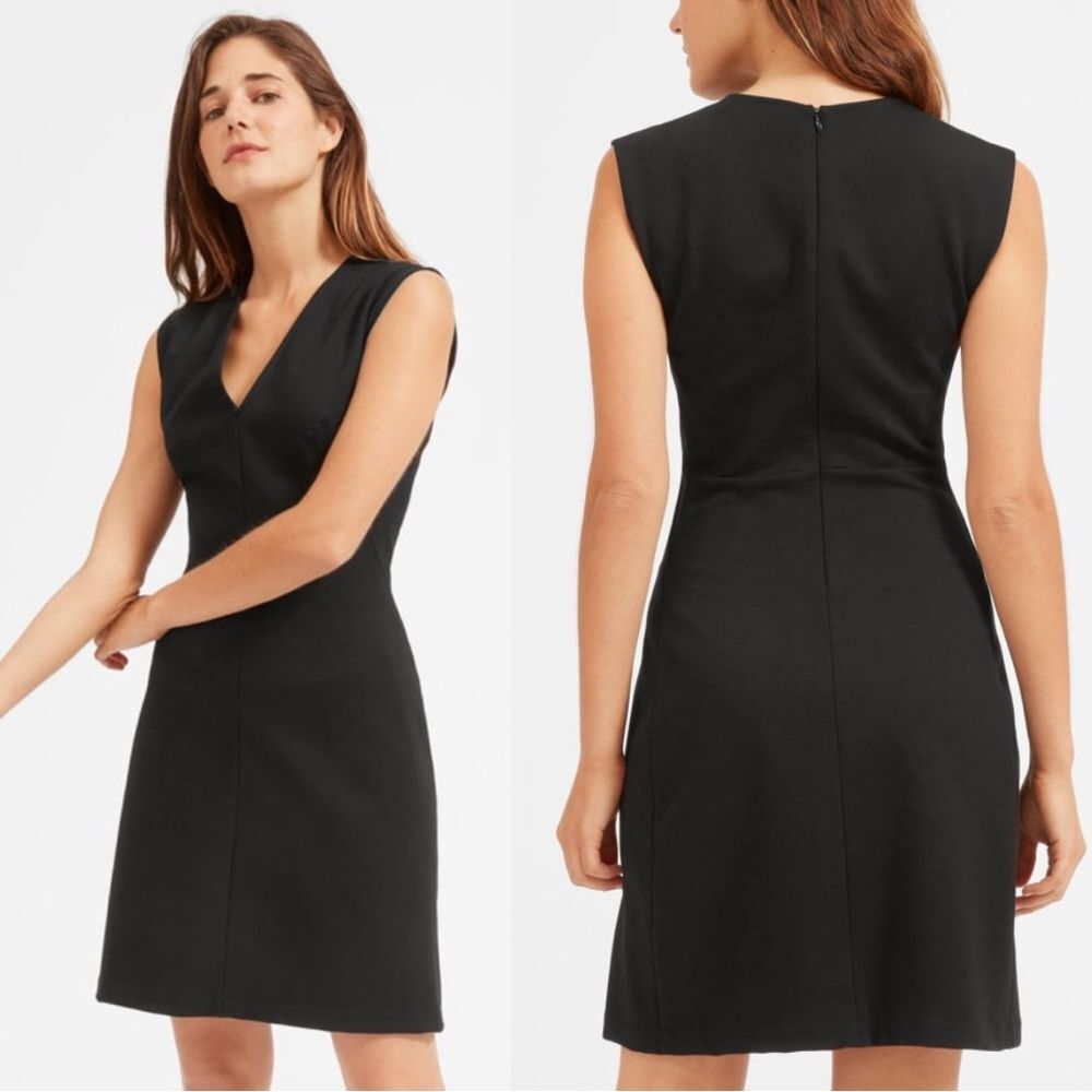 Everlane Black V-Neck Sleeveless Mini Dress